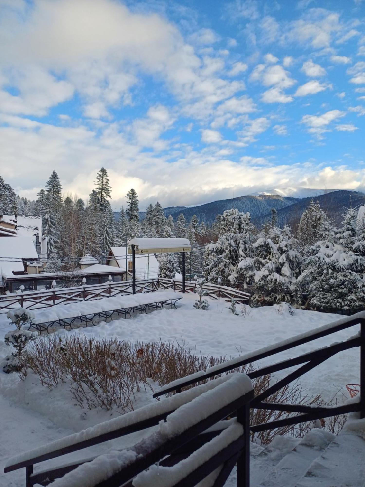 Apartamente Private A&L View Sinaia Eksteriør bilde